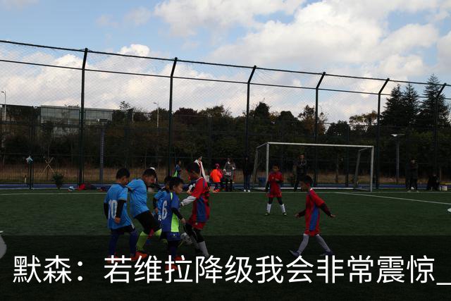默森：若维拉降级我会非常震惊 阿森纳将以两位数积分优势夺冠